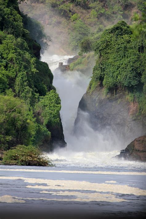 Activities to do in Murchison falls national park: what to see and do on a Murchison falls tour ...