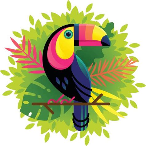 Toucan Illustrations, Royalty-Free Vector Graphics & Clip Art - iStock