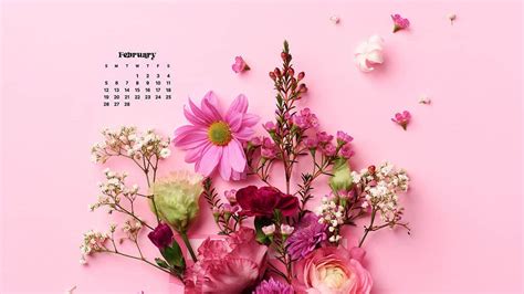 Hello February Wallpaper Calendar