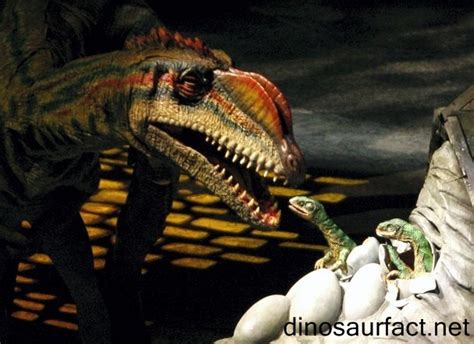 Liliensternus Pictures & Facts - The Dinosaur Database