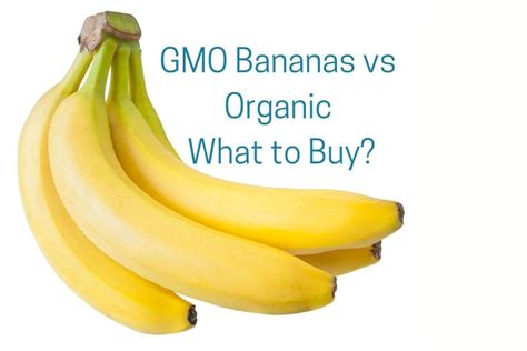 GMO Bananas vs Organic | What to Buy? - Wellbeing with Grace