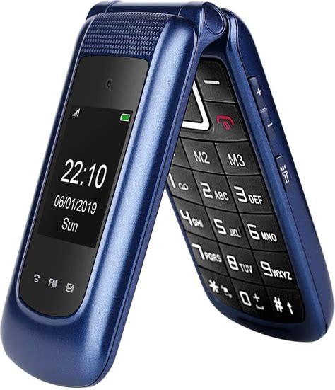 Amazon.ca: dumb phone