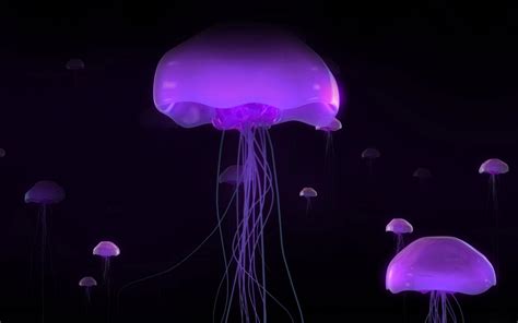 Jellyfish Live Wallpaper APK for Android Download