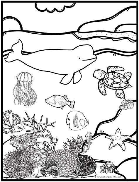 Printable Ocean Coloring Pages