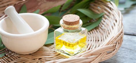 Why You Need Eucalyptus Oil For Hair And The Best Ways To Use It - Fab Naturals