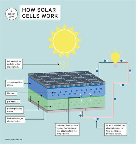 Solar Cell Diagram With Explanation Solar Cell Solar Plant E