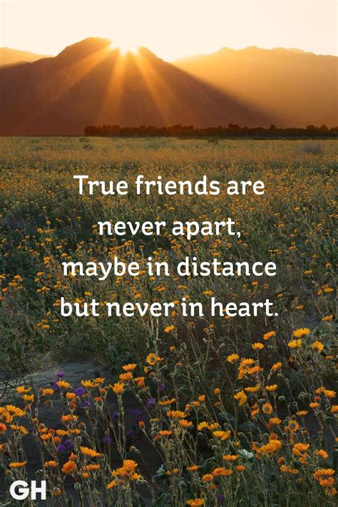 25 Best True Friendship Quotes For Real True Relationship - Preet Kamal