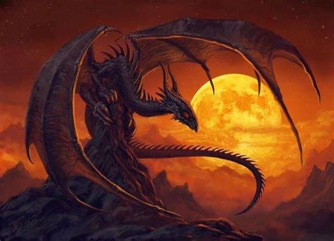 Cool Dragon Art | Dragon art, Dragon pictures, Fantasy dragon