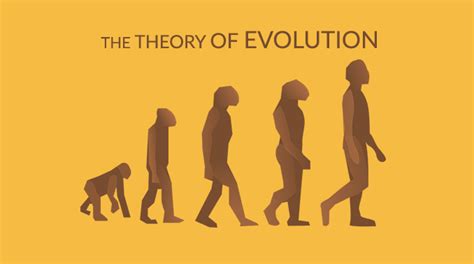 What does biology say about the evolution theory? : r/biology