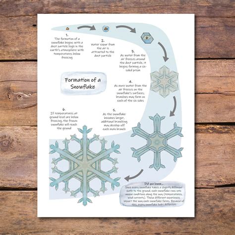 Snowflake Formation Poster: How Snowflakes Form Science - Etsy