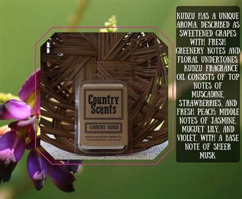 Pin by Angel Rains on Scents candles | Country scents candles, Scents, Scented candles