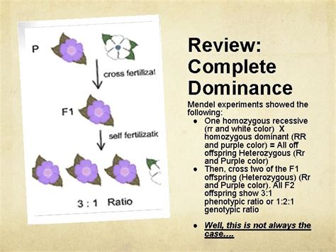 Genetics Incomplete and Codominant inheritance patterns Work with