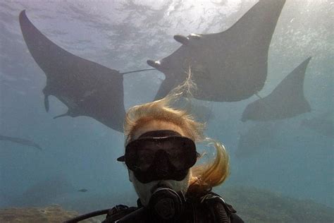 Try Dive With Manta Rays In Bali: Triphobo