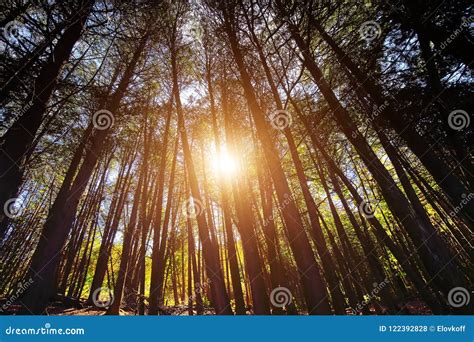 Elora City Parks and Hiking Trails Stock Photo - Image of grass, elora: 122392828