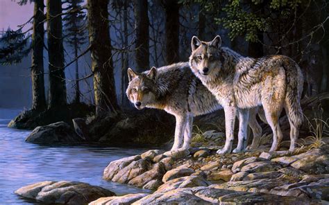 Wolf Art Wallpaper (79+ images)