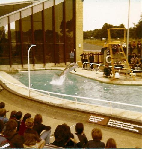 The Sea Lion Arena in Whipsnade Zoo © Elliott Simpson cc-by-sa/2.0 :: Geograph Britain and Ireland