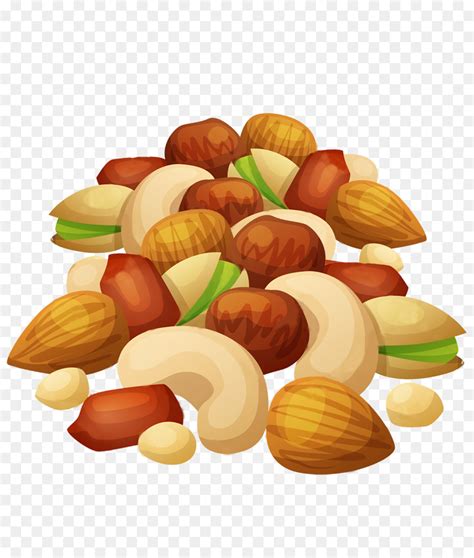 clip art nuts 20 free Cliparts | Download images on Clipground 2024