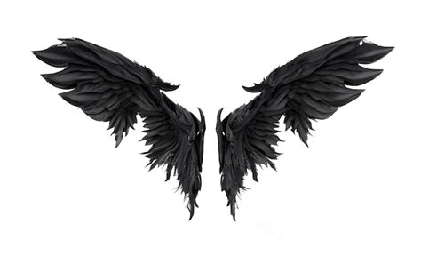 Premium Photo | Black Demon Wings Isolated On White Background