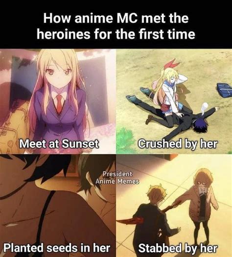 10+ BEST Anime Memes! 2023 : r/lostpause