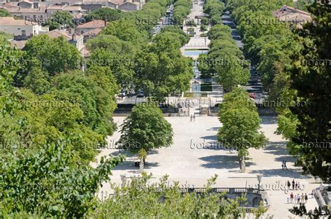 Image Jardins de la Fontaine, Nîmes, France - 557297 - Images of Plants ...