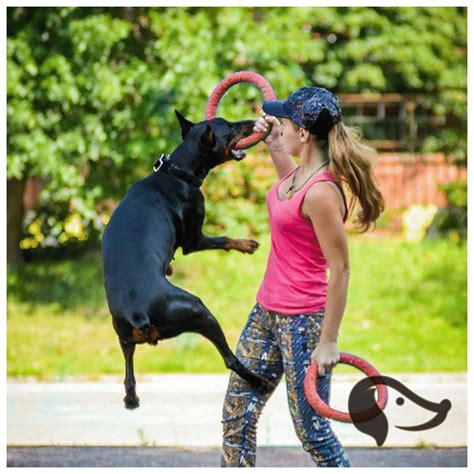 Flying Disc Ring Interactive Dog Toy #Dog #pooches #dogsupplies #dogshopping #pooch #dogshop # ...