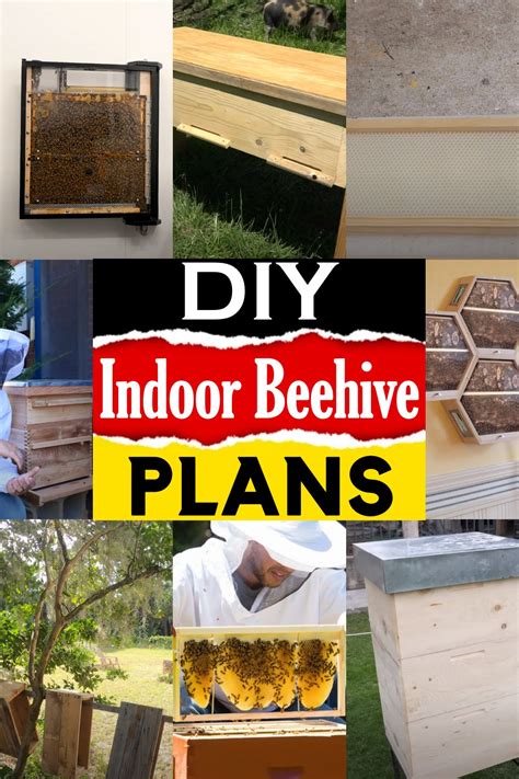 19 DIY Indoor Beehive Plans For Bee Fans - DIYnCrafty