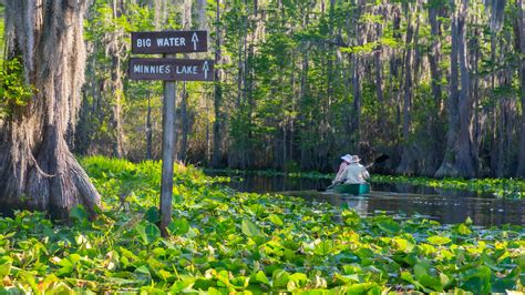 U.S. Fish and Wildlife joins Okefenokee Swamp Park to mount UNESCO bid