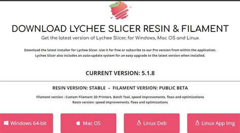 How to Use Lychee Slicer for Resin 3D Printing