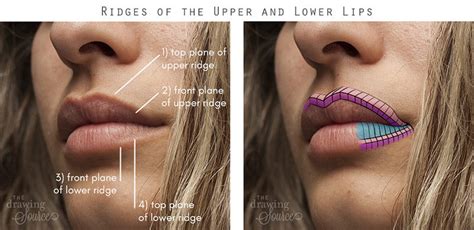 How to Draw Lips Step by Step