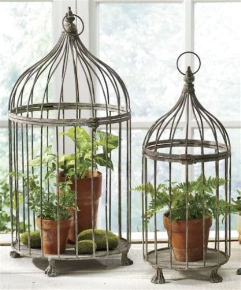 Using Bird Cages For Decor: 46 Beautiful Ideas | DigsDigs Small Bird ...