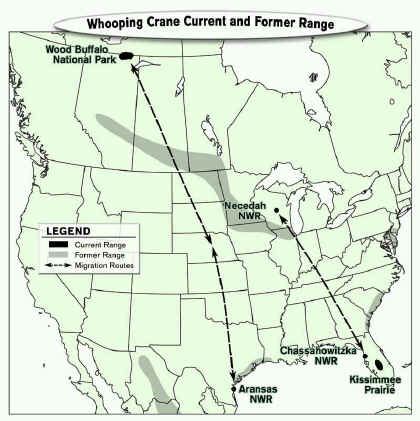 Migration Routes « Whooping Crane Conservation Association