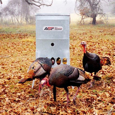 Wild Turkey Feeder | Game Bird Feeder | All Seasons Feeders