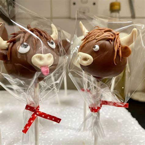 Highland cow cake pops in 2022 | Cow birthday parties, Cow birthday cake, Cow cakes