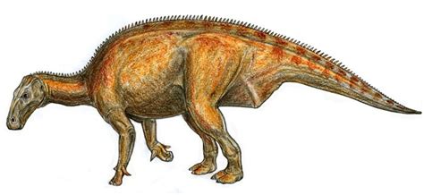 Lurdusaurus Pictures & Facts - The Dinosaur Database