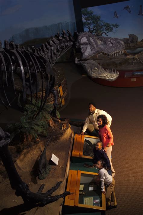 Burpee Museum of Natural History | Kids attractions, Illinois travel, Staycation