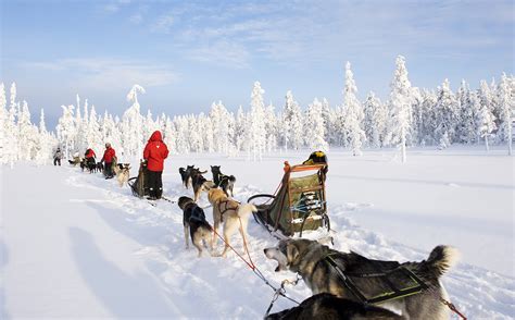 Safaris Finland | Winter Activities | Discovering Finland