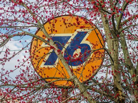 Vintage 76 Gas Station Sign and Cherry Tree Photo Print by Amber Smith - TurningArt