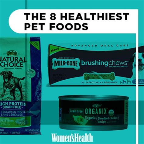 The 8 Healthiest Pet Foods