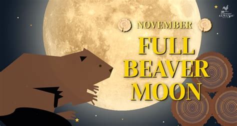 Full Moon November 2023 – Beaver Moon And Alternative Names Farmers ...