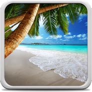 Tropical Beach Live Wallpaper скачать 14.0 APK на Android