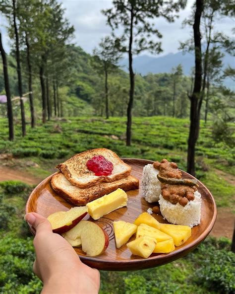 Hanging Tent Stay & Wayanad Chembra Peak Trekking - Trip2kerala