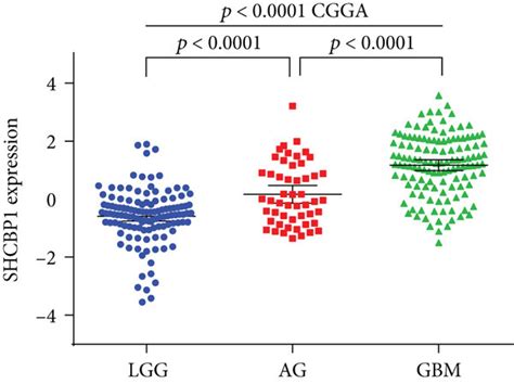 CEP55 and SHCBP1 expression levels in gliomas and their relationship to... | Download Scientific ...