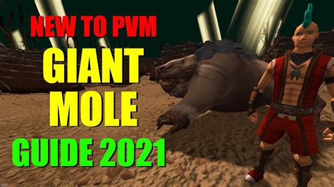 Beginner's Guide to the Giant Mole 2021 - Runescape 3 - Ironman ...