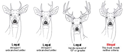 PA Antler Restrictions | Marlin Firearms Forum