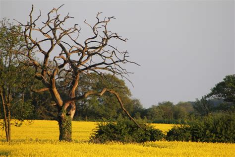 Pictures of Sheepy Magna, Leicestershire, England | England Photography & History