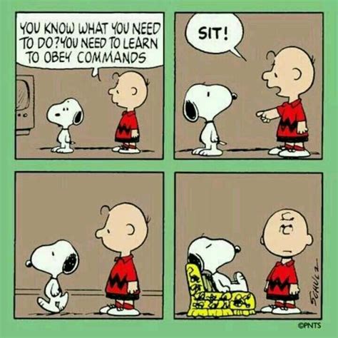 Pin by Osi Lussahatta on snoopy and the gang 2 | Snoopy funny, Snoopy ...