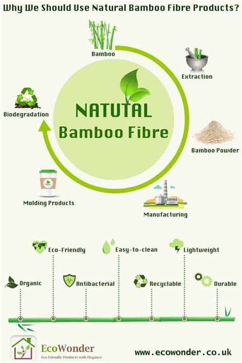 Why We Should Use Natural Bamboo Fibre Products | Ecowonder