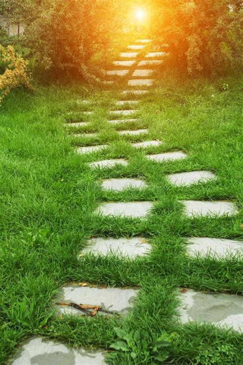 Stone walkway stock photo. Image of texture, square, grass - 41802742