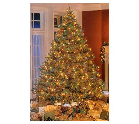 Roman Bethlehem Pre-Lit Douglas Fir Christmas Tree — QVC.com