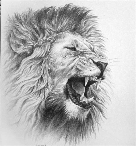 Free Lion Head Drawing, Download Free Lion Head Drawing png images ...